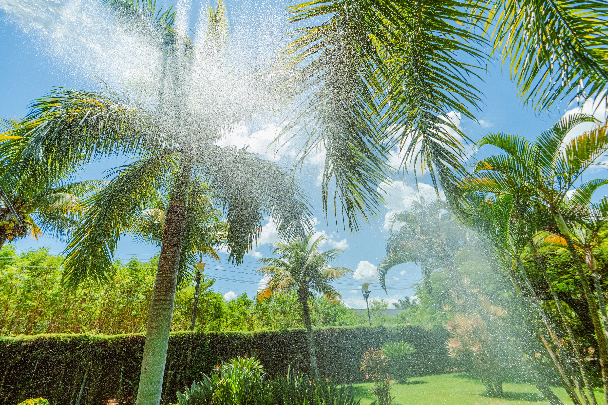 Operação de irrigação de jardins